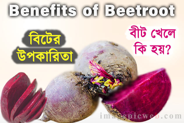Benefits Of Beetroot Bangla