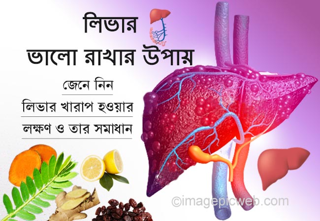Best Liver Valo Rakhar Upay Tips