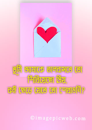 Bangla Koster-hd-Love-Pic-dowload
