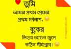 Bangla-sad-kobita-photo