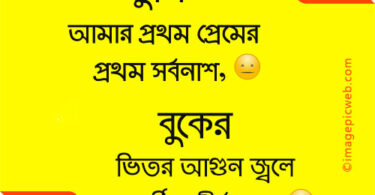 Bangla-sad-kobita-photo