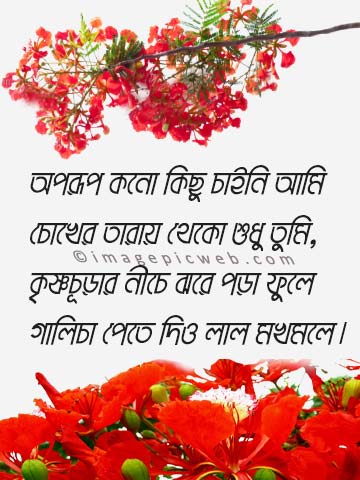 Koster-Photo-Download-Bangla