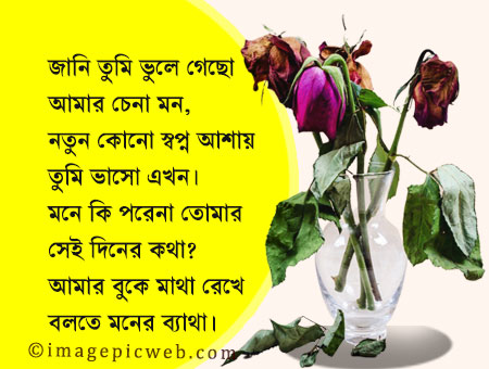 bangla-koster-picture-hd-wallpaper