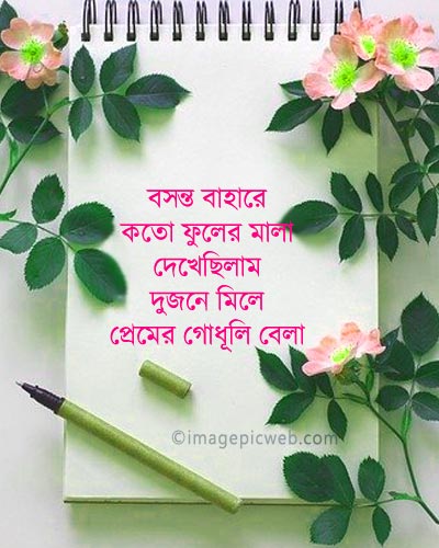 bengali-sad-shayari-photo