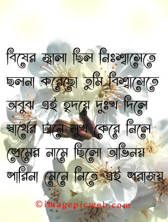 onek-koster-bangla-picture