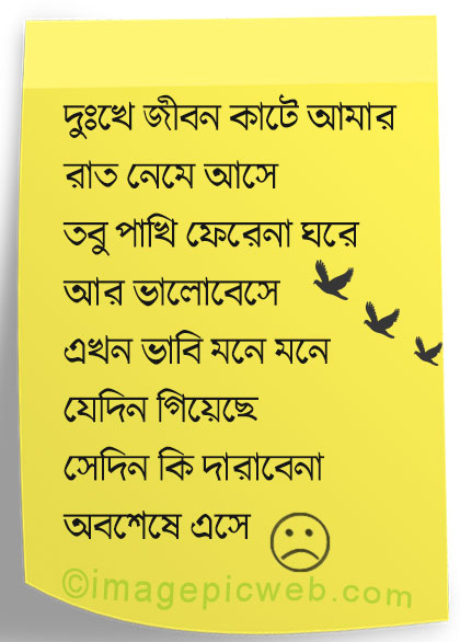 sad-kobita-text-pic-bengali