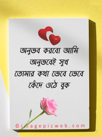 sad-love-koster-iamge-bengali-gir