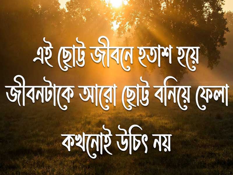 ছবির_ক্যাপশন