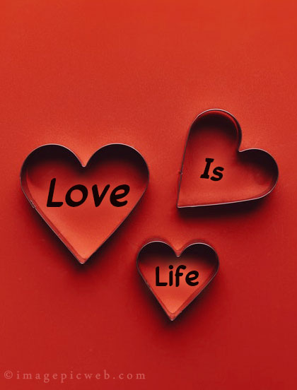 Love is life Whatsapp dp