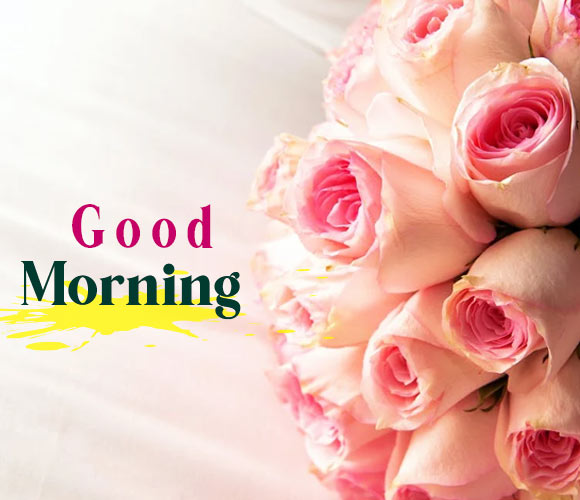 120+ Good Morning 4K HD Images - Good Morning Wishes