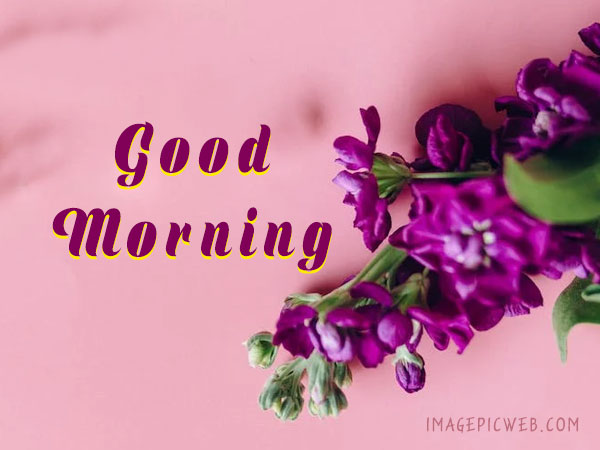 Good-Morning-Greetings-Pics-9th
