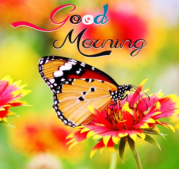 Good Morning, 3D art, blue background, 3D inscription, 3D good morning  wishes, HD wallpaper | Peakpx