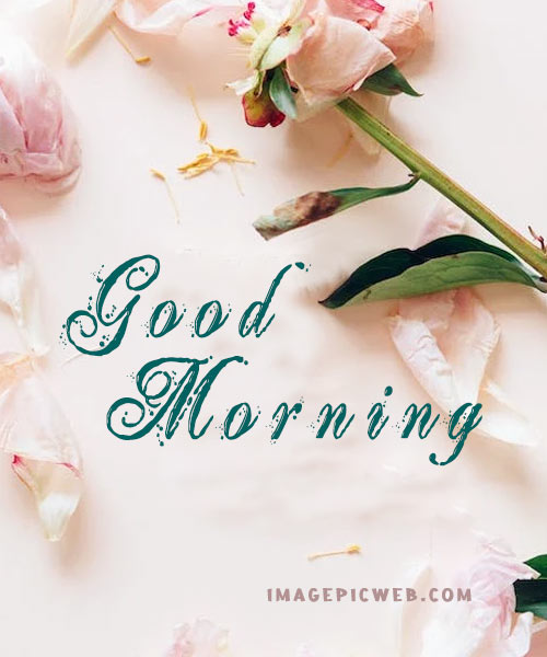 Good-Morning-Whatsapp-images-03