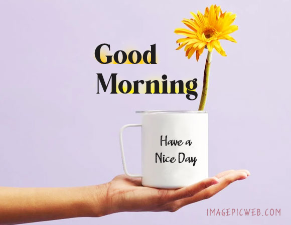 Good Morning Quotes With Pictures Best Good Morning Quotes Hd Wallpapers  For Wishes And Desktop Computer Wallpaper Hd | Загрузка изображений