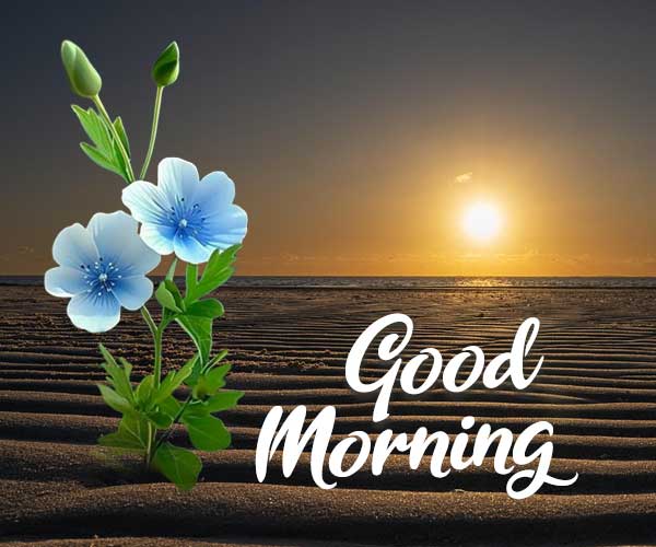 Good-Morning_pic-2025