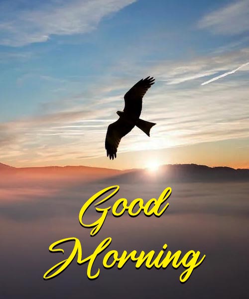 Best Good Morning Pic 4k Hd New 3D Morning DP Wallpaper