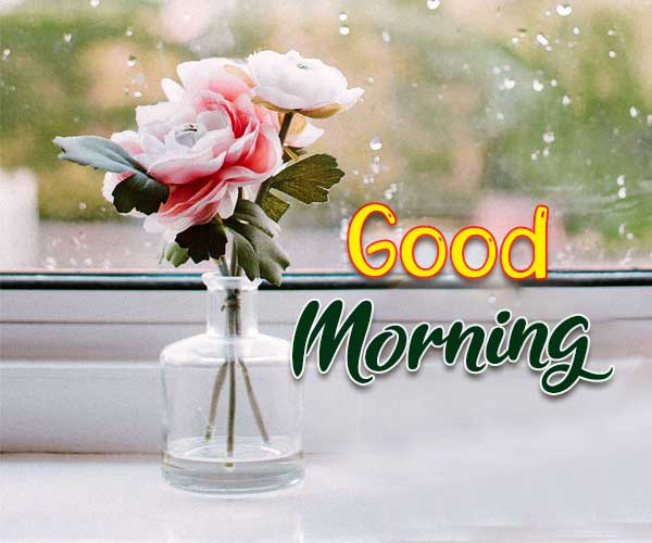 good morning pic today