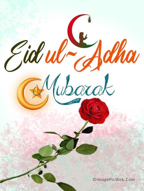 bakra eid mubarak pic free download for whatsapp status