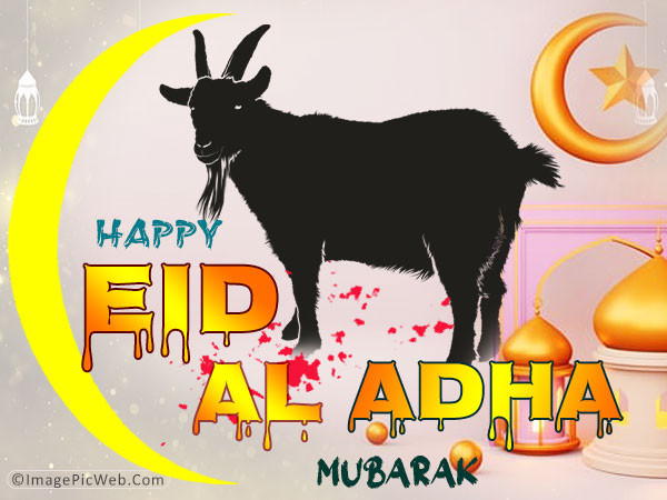 Best eid al adha 2023 pic 4k hd images download